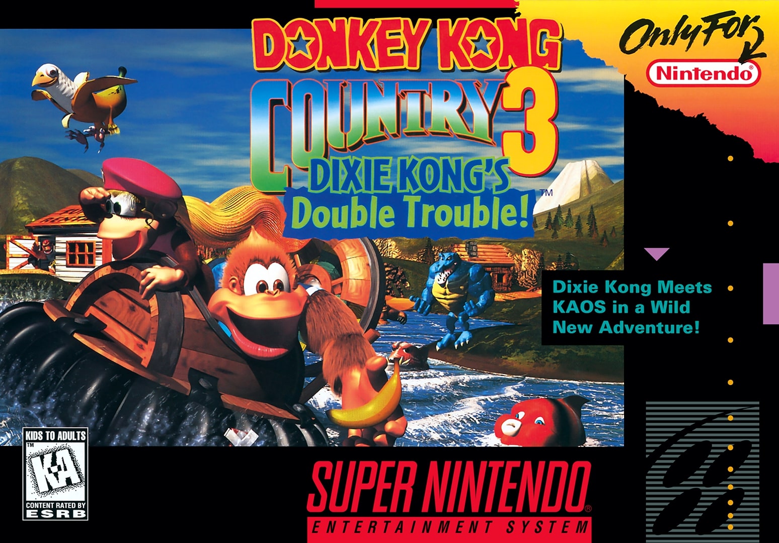 Donkey Kong Country 3: Dixie Kong's Double Trouble! - Super Nintendo (SNES)