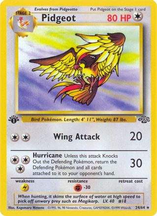 Pidgeot (24) 024  - 1st Edition Jungle - Rare