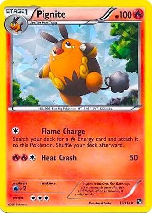 Pignite 017/114  - Holofoil Miscellaneous Cards & Products - Promo