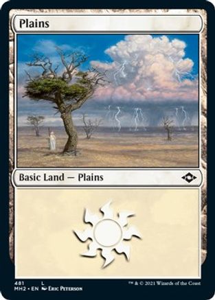 Plains (481) (Foil Etched) (MH2-481) - Modern Horizons 2 Foil
