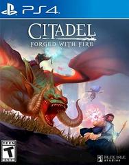 Citadel: Forged with Fire - PlayStation 4 (PS4)