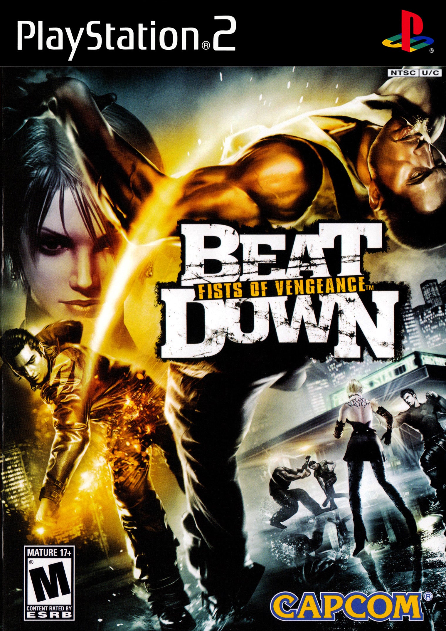 Beat Down Fists of Vengeance - PlayStation 2 (PS2)