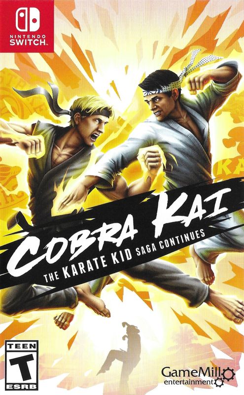 Cobra Kai The Karate Kid Saga Continues