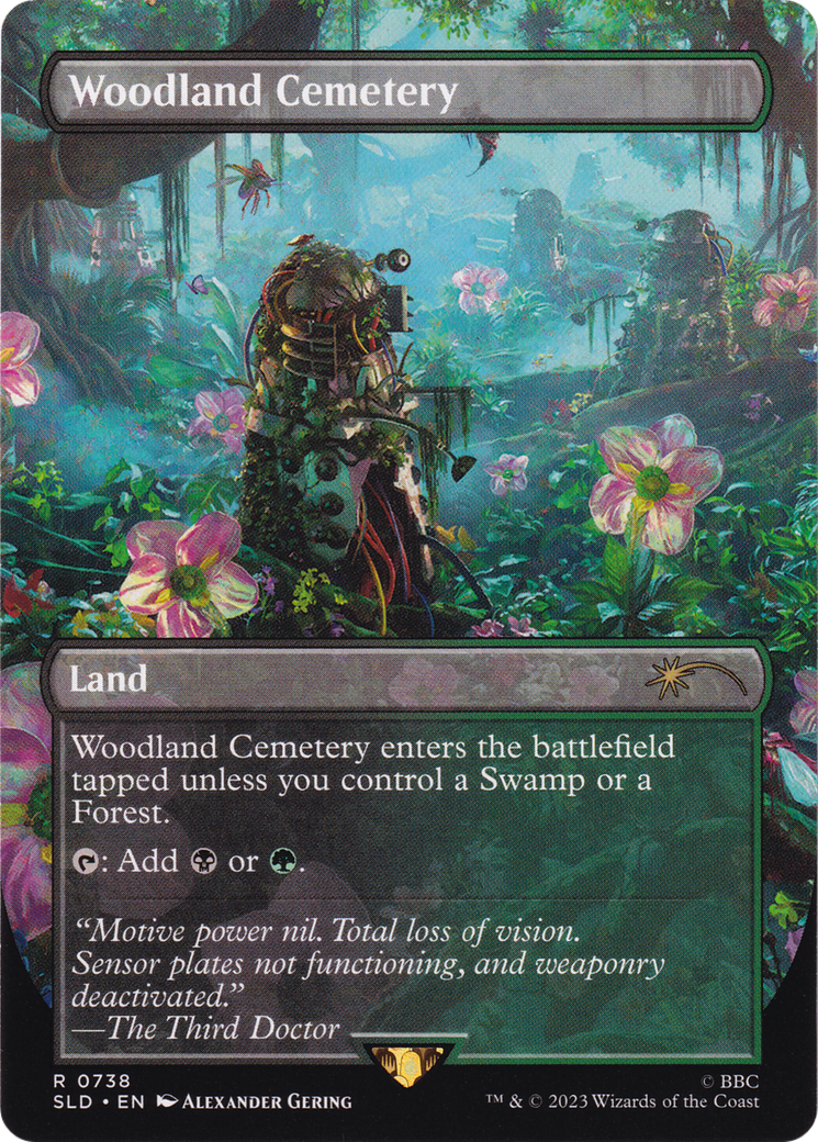 Woodland Cemetery (SLD-738) - Secret Lair Drop: (borderless) (Borderless)