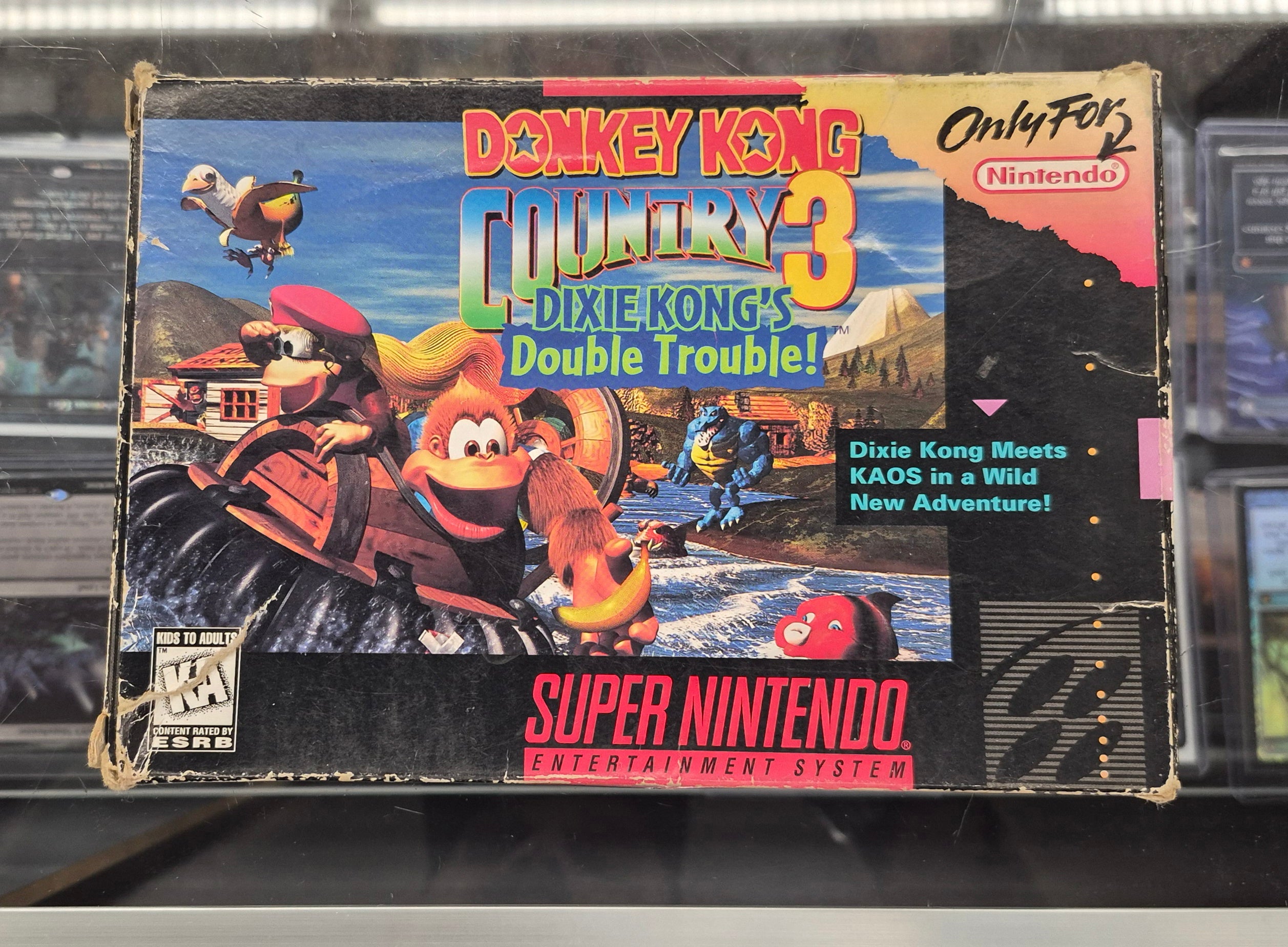 Donkey Kong Country 3: Dixie Kong's Double Trouble! - Super Nintendo (SNES)